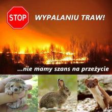 Stop wypalniu traw!