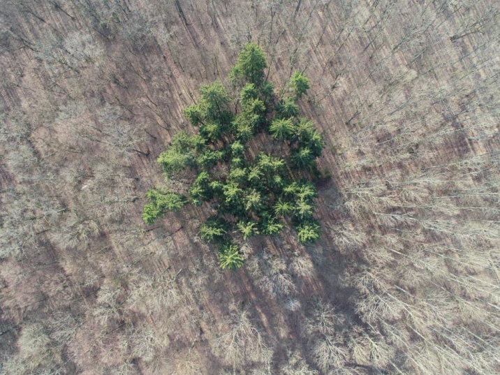 „Fot&#x2e;&#x20;Tomasz&#x20;Kochanowski&#x20;&#x2f;&#x20;Las&#x20;w&#x20;obiektywach&#x20;leśników”