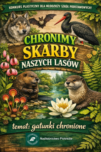Konkurs plastyczny CHRONIMY SKARBY NASZYCH LASÓW