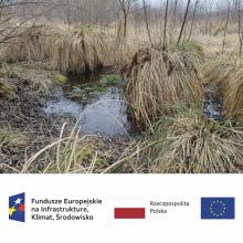 Razem dla natury – ochrona gatunków i siedlisk na terenach cennych przyrodniczo